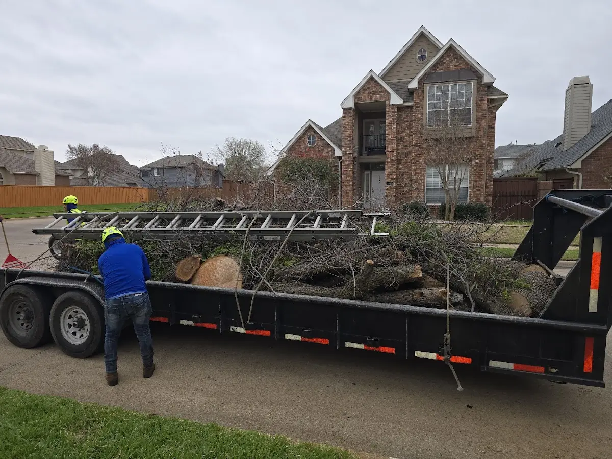 Expert Tree Fertilization with proper safety equipment in Fox Lake